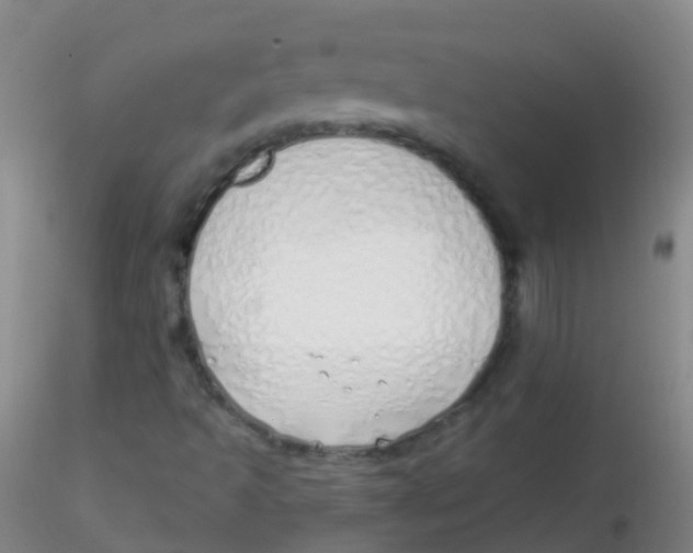 X0000115221493200911251519