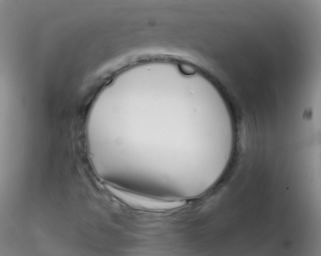 X0000115221494200911251519