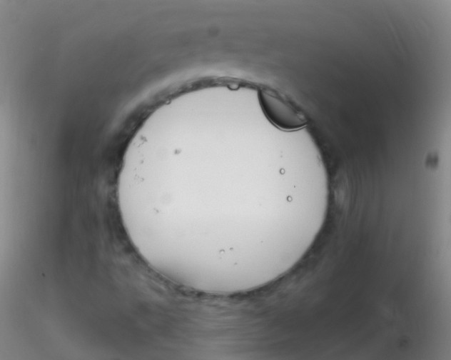 X0000115221495200911251519