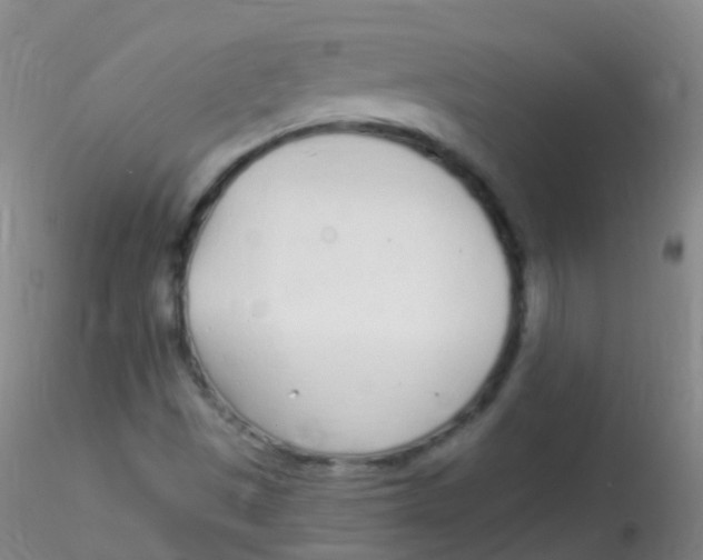 X0000115221497200911251519
