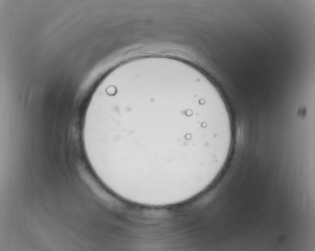 X0000115221498200911251519