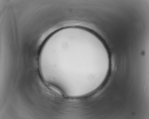 X0000115221501200911251519