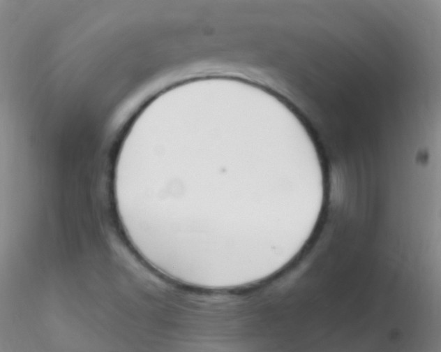 X0000115221502200911251519