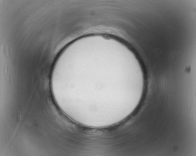 X0000115221505200911251519
