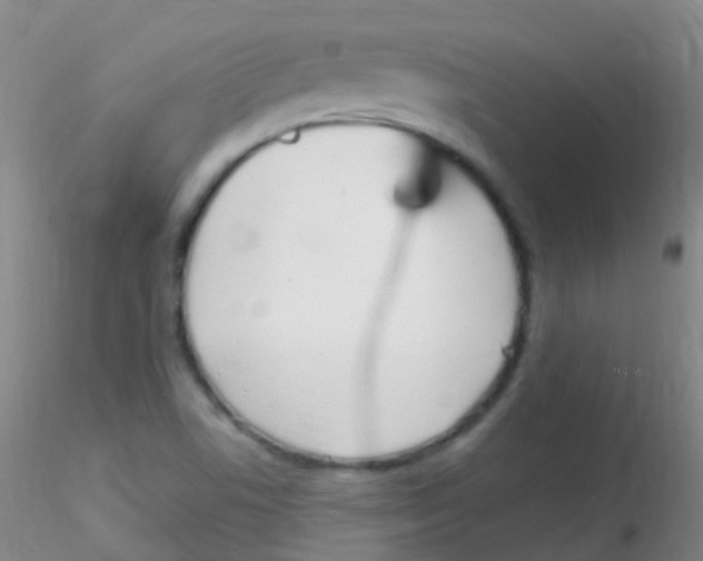 X0000115221506200911251519