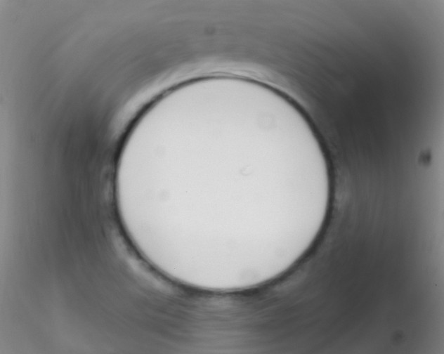 X0000115221507200911251519