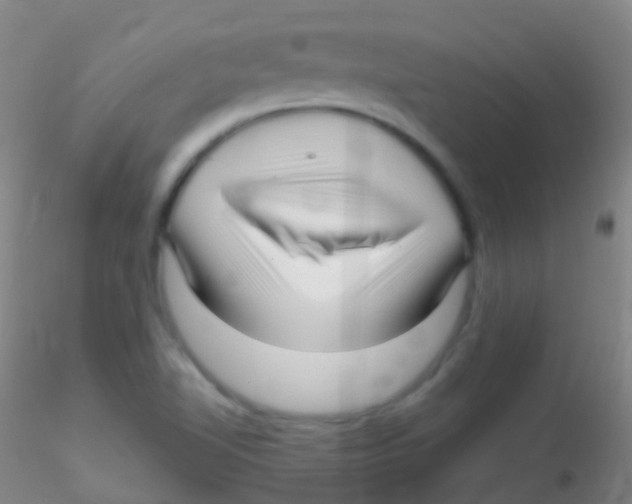 X0000115221510200911251519