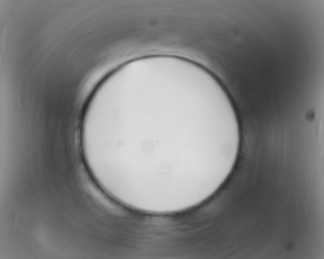 X0000115221511200911251519