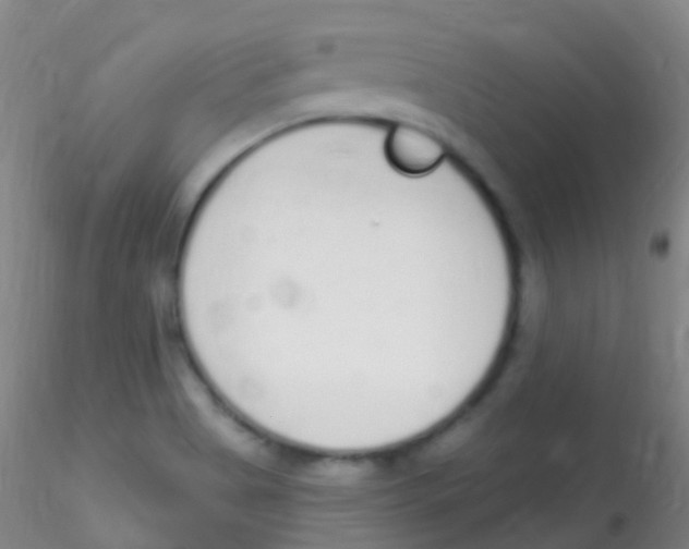 X0000115221513200911251519