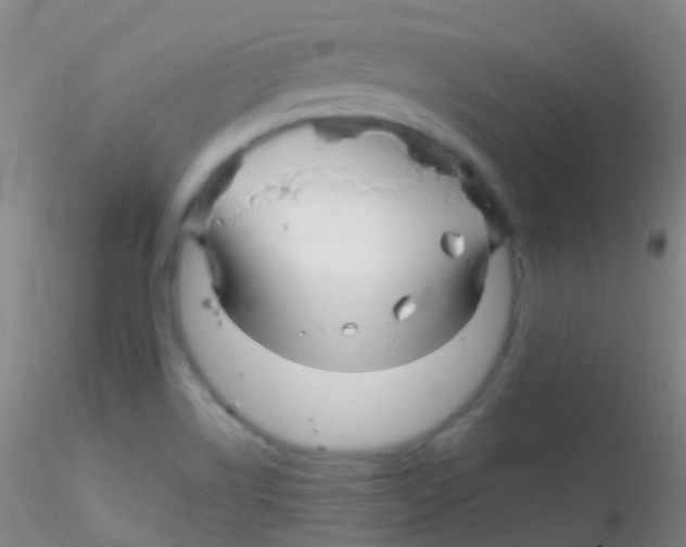 X0000115221514200911251519