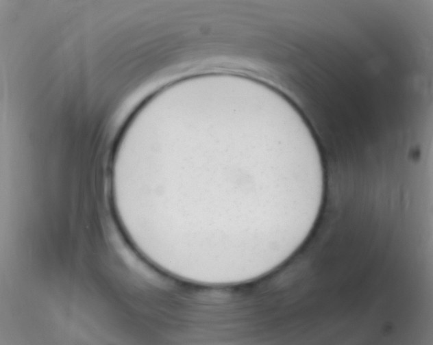 X0000115221515200911251519