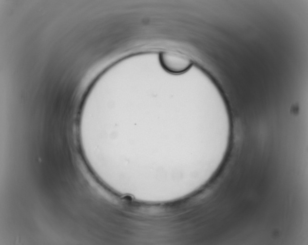 X0000115221517200911251519