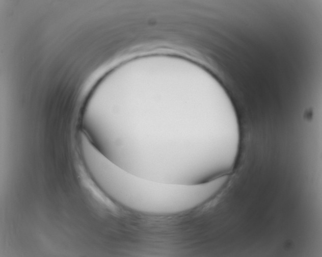 X0000115221518200911251519