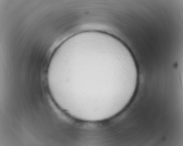 X0000115221521200911251519