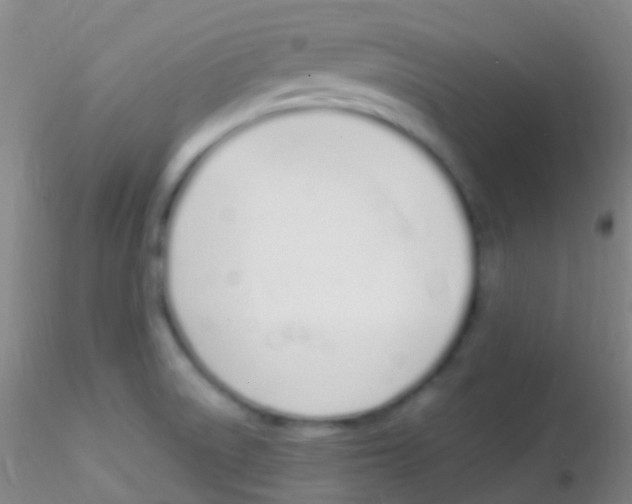 X0000115221522200911251519