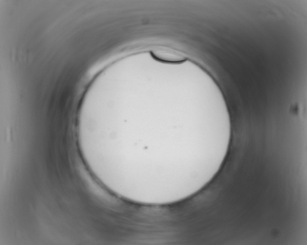 X0000115221526200911251519