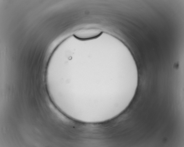 X0000115221527200911251519