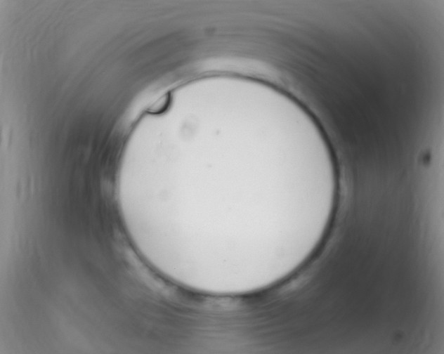 X0000115221529200911251519