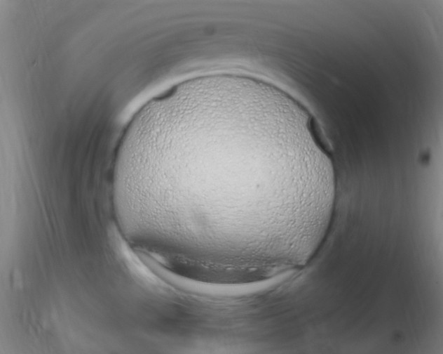 X0000115221534200911251519