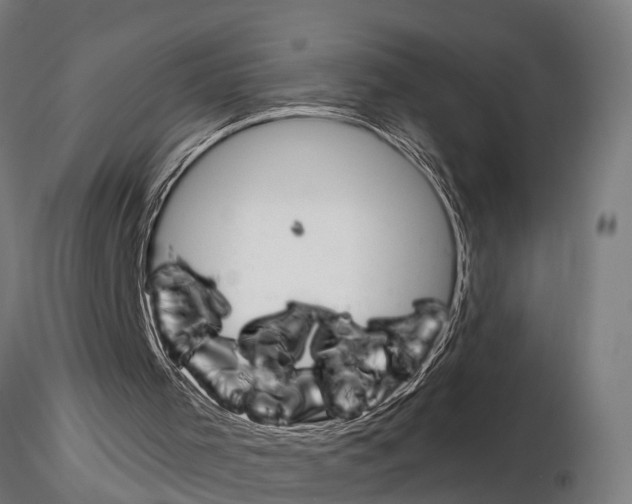 X0000115220001200912091232