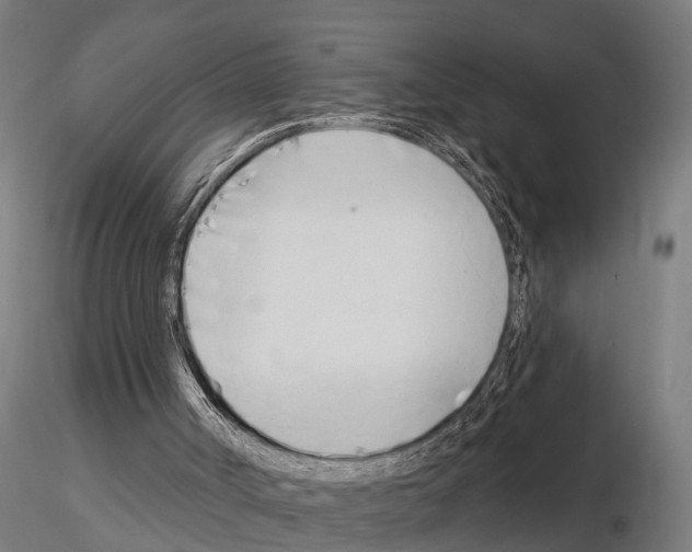 X0000115220002200912091232