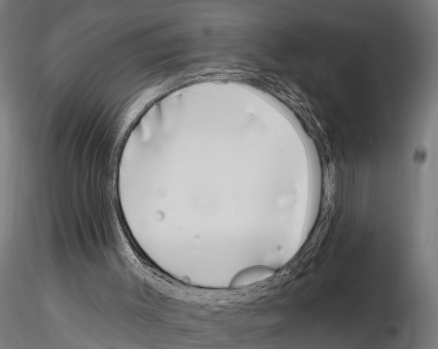 X0000115220003200912091232