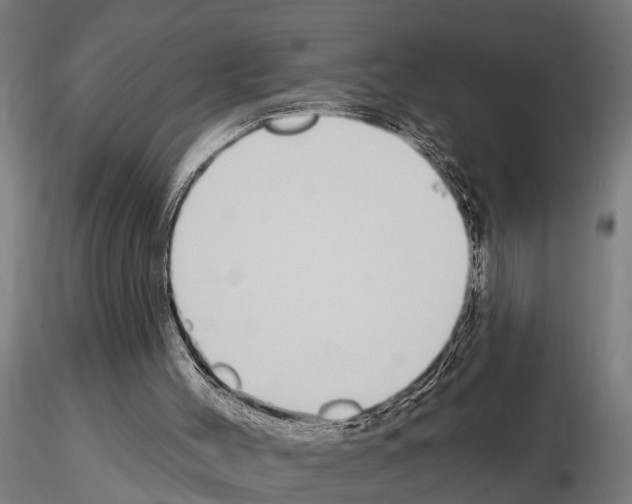 X0000115220004200912091232