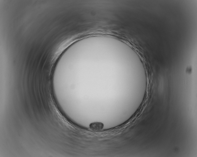 X0000115220005200912091232