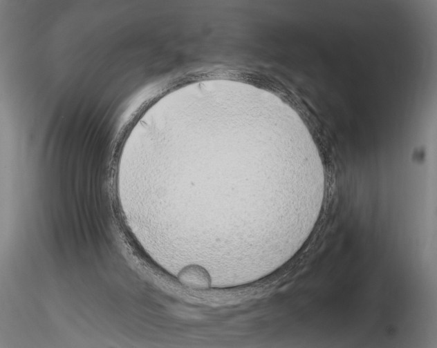 X0000115220006200912091232