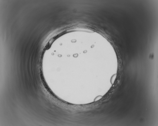 X0000115220007200912091232