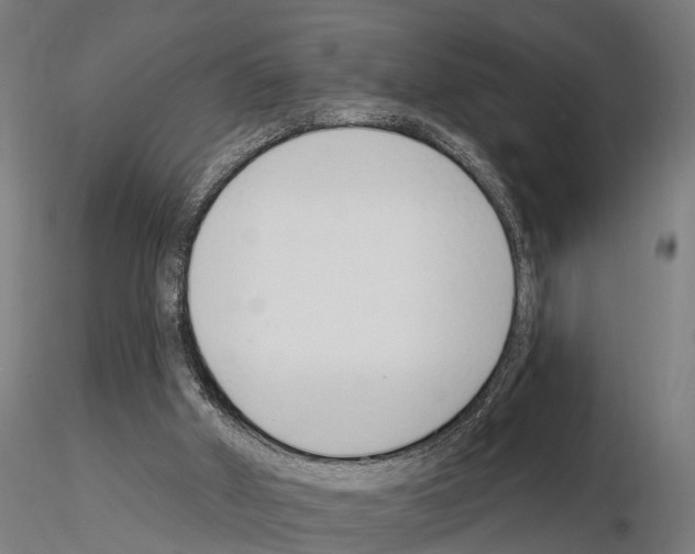 X0000115220010200912091232