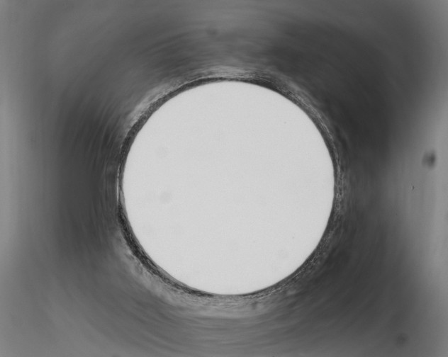 X0000115220011200912091232