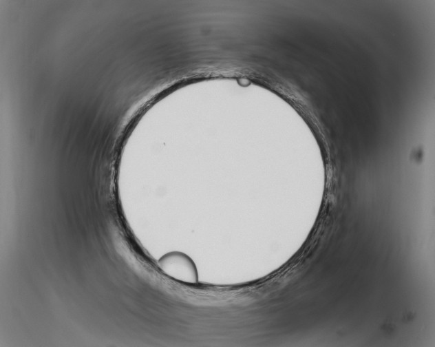 X0000115220012200912091232