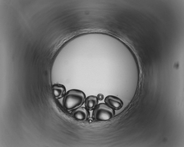 X0000115220013200912091232