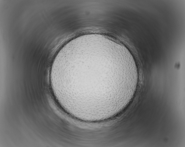 X0000115220014200912091232