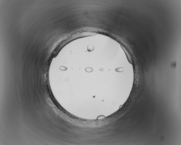 X0000115220015200912091231