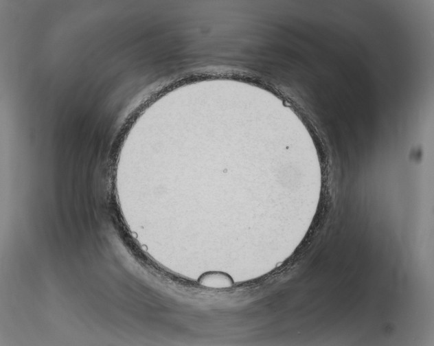 X0000115220016200912091231