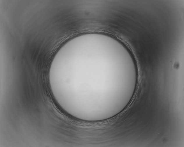 X0000115220017200912091231