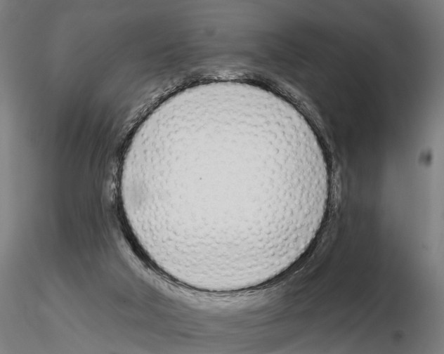 X0000115220018200912091231