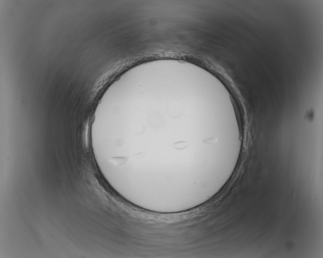 X0000115220019200912091231