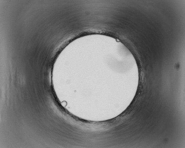 X0000115220020200912091231