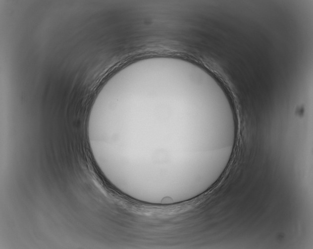 X0000115220021200912091231