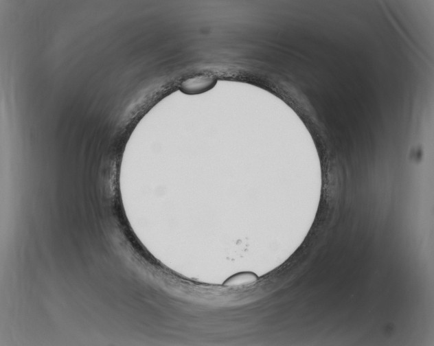 X0000115220023200912091231