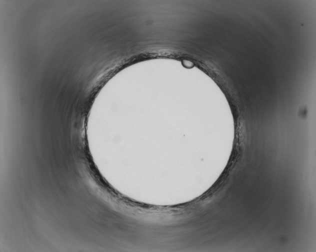 X0000115220024200912091231