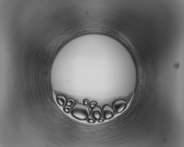 X0000115220025200912091231