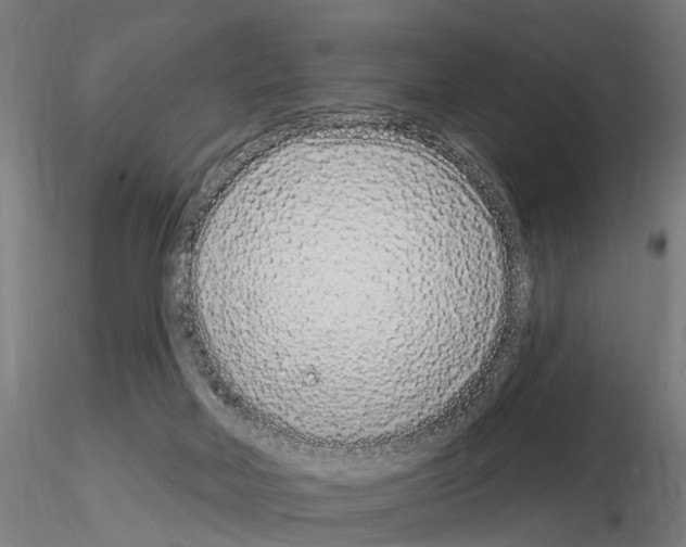 X0000115220026200912091231