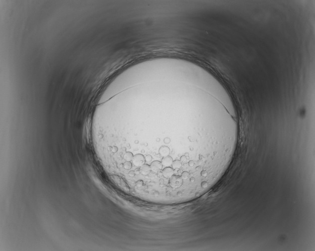 X0000115220028200912091231