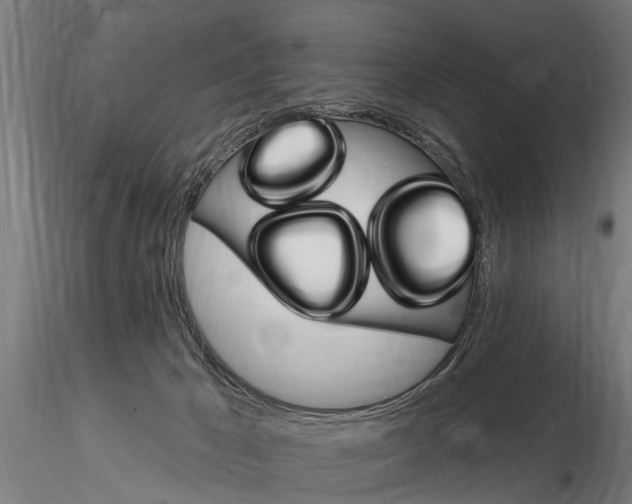 X0000115220029200912091231