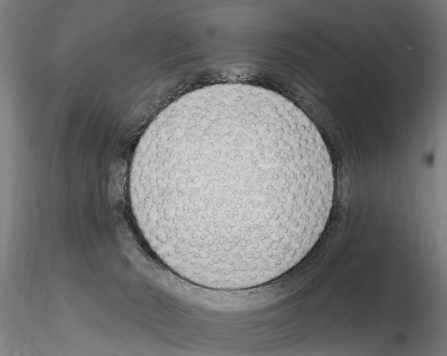 X0000115220030200912091231