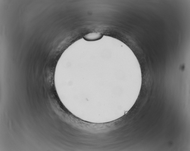 X0000115220031200912091231